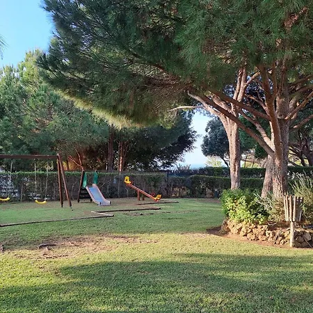 Oasis